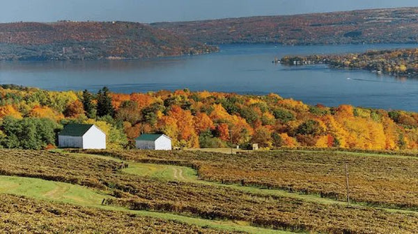 Rockway Vineyards Wins Eight Silver Medals At Finger Lakes International Wine Competition